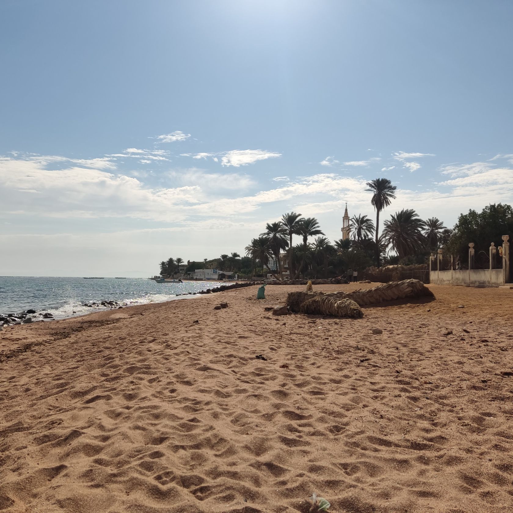 Vegan in Dahab: Meer und Wüste, Aussteiger und Beduinen