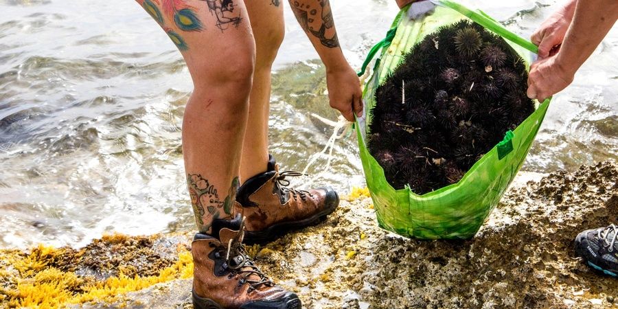 Hier stellen die Aktivisten die Beute eines Wilderers sicher - mit freundlicher Genehmigung von Sea Shepherd Global