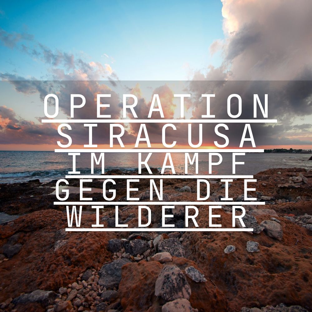 Operation Siracusa: Im Kampf gegen die Wilderer
