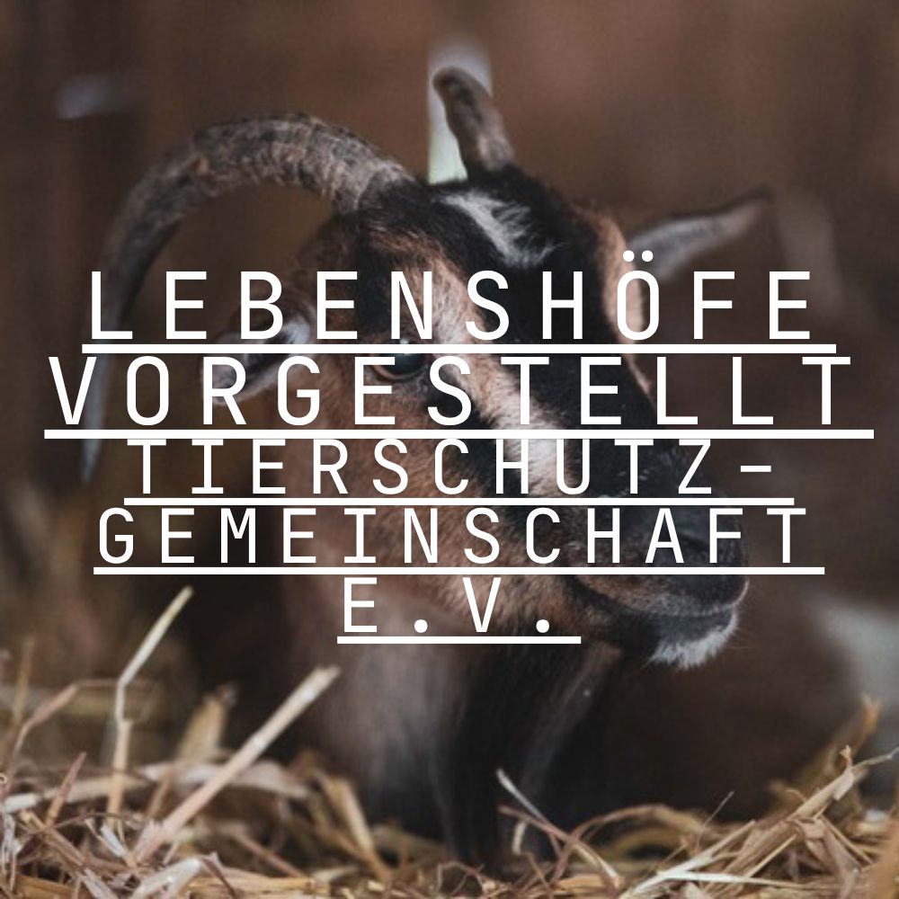 Tierschutzgemeinschaft e.V. // Lebenshöfe vorgestellt