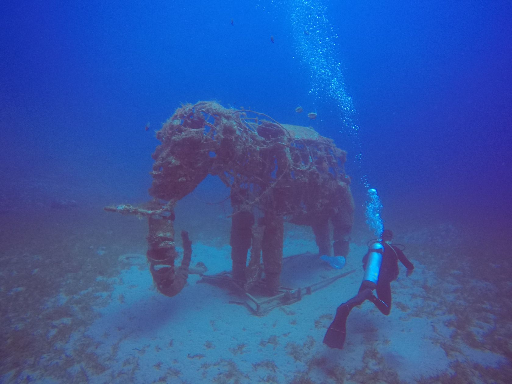 Elefantenskulptur auf dem Meeresgrund vor Dahab